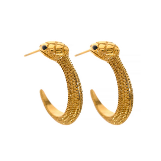 Python Hoops